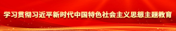 免费操比视频永久下载学习贯彻习近平新时代中国特色社会主义思想主题教育